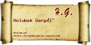 Holubek Gergő névjegykártya